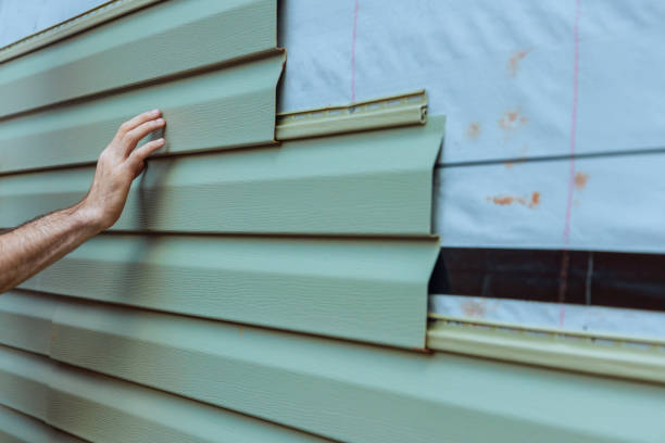 Best Siding Painting and Refinishing  in Pleasant View, TN
